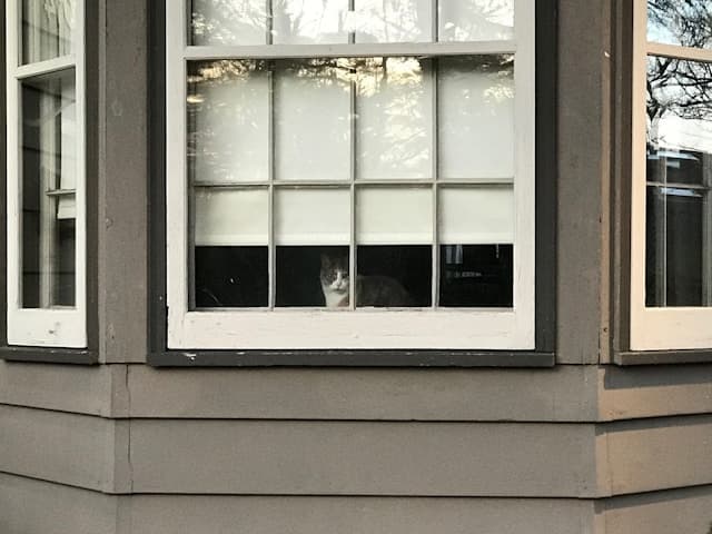 Beautiful home exterior